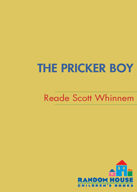 Cover image for book The Pricker Boy
