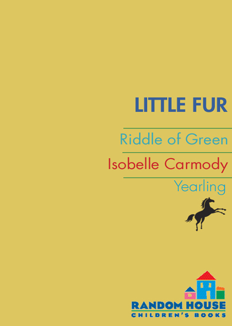Cover image for book Little Fur #4: Riddle of Green