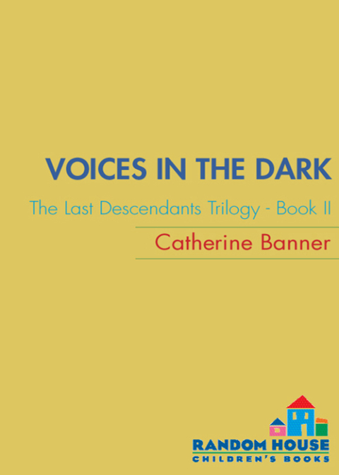 Cover image for book Voices in the Dark