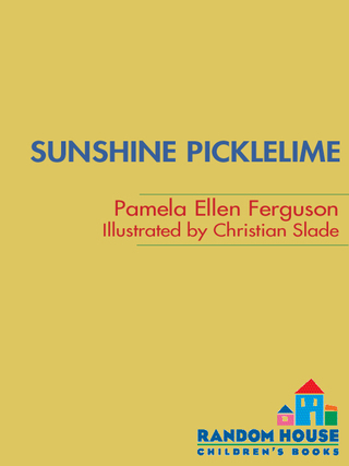 Sunshine Picklelime