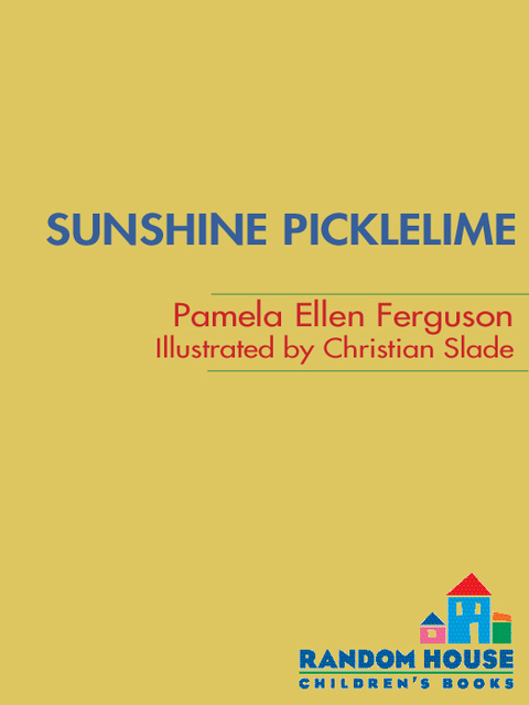 Cover image for book Sunshine Picklelime