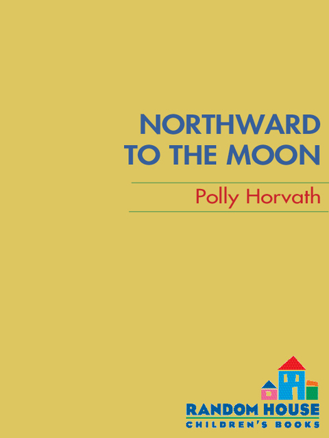 Cover image for book Northward to the Moon