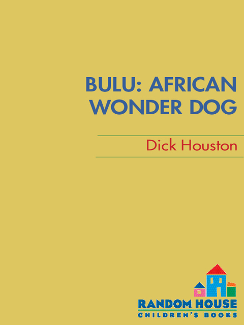Cover image for book Bulu: African Wonder Dog