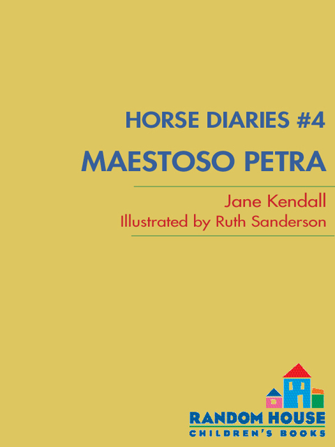 Cover image for book Horse Diaries #4: Maestoso Petra