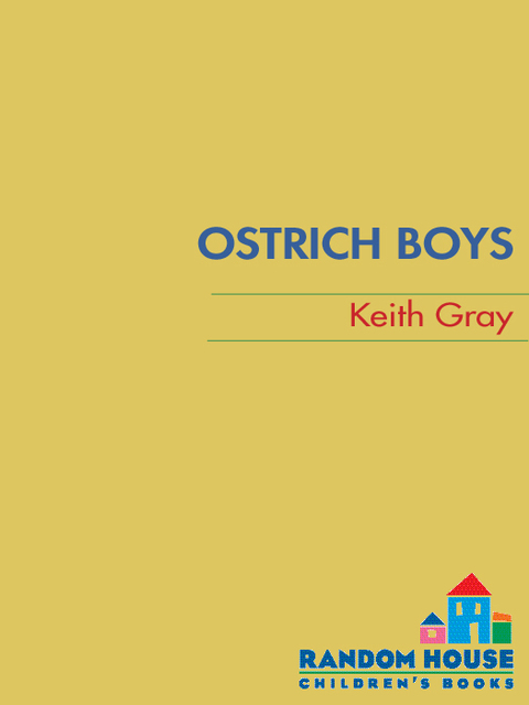 Cover image for book Ostrich Boys