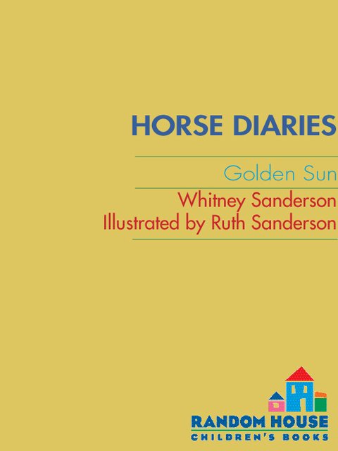Cover image for book Horse Diaries #5: Golden Sun