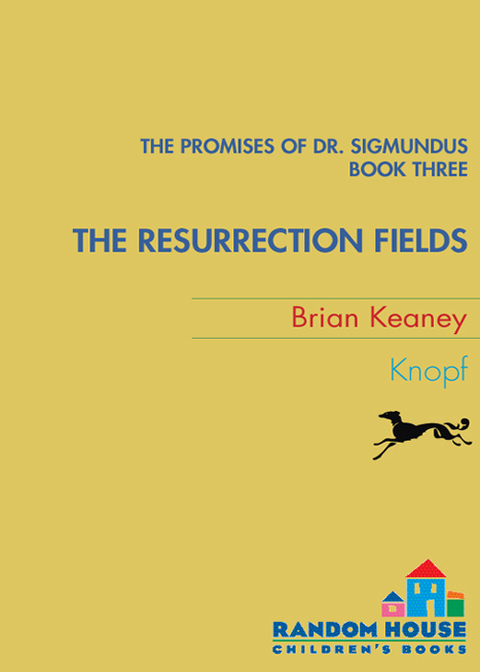 Cover image for book Dr. Sigmundus: The Resurrection Fields
