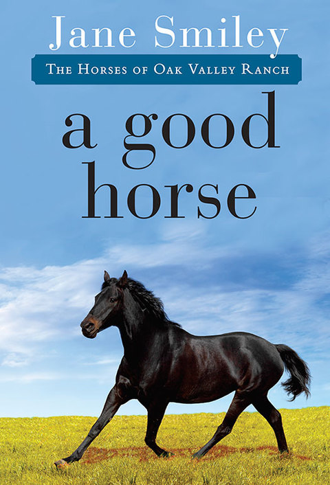 Cover image for book A Good Horse