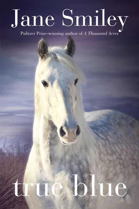 Cover image for book True Blue