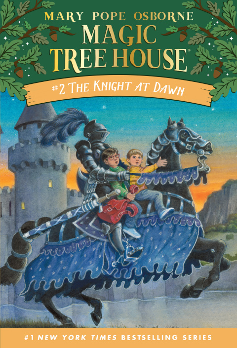 Cover image for book The Knight at Dawn