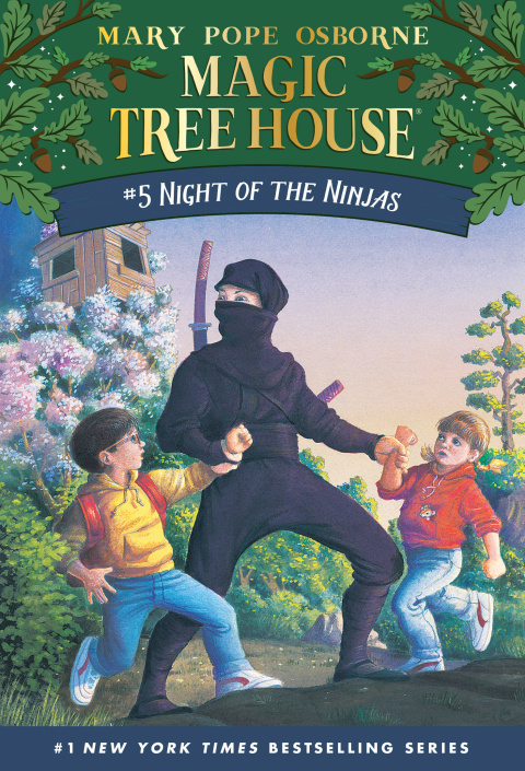 Cover image for book Night of the Ninjas