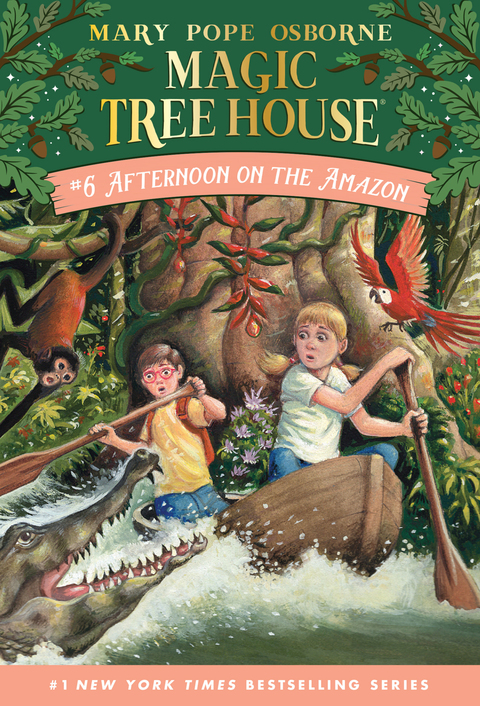 Cover image for book Afternoon on the Amazon