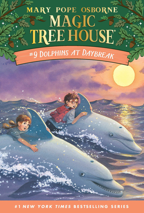 Cover image for book Dolphins at Daybreak
