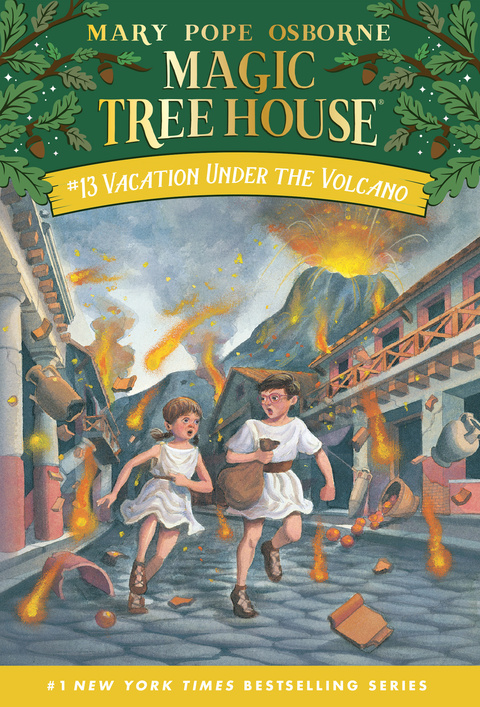 Cover image for book Vacation Under the Volcano