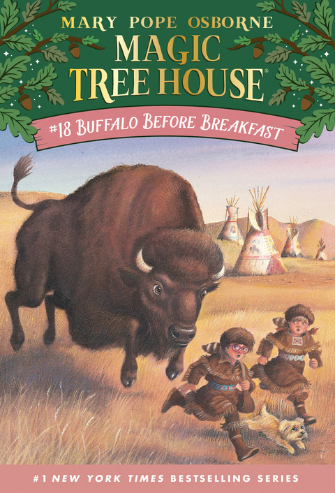 Cover image for book Buffalo Before Breakfast