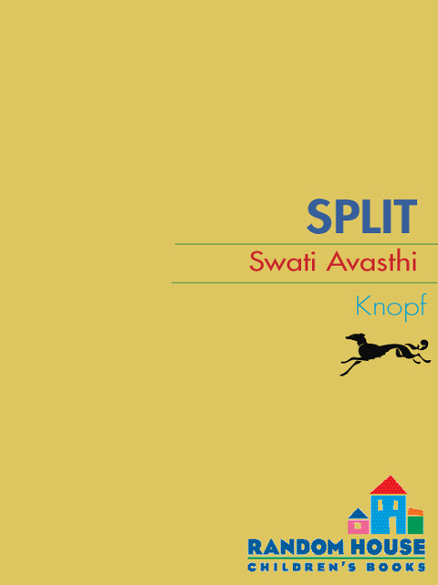 Cover image for book Split