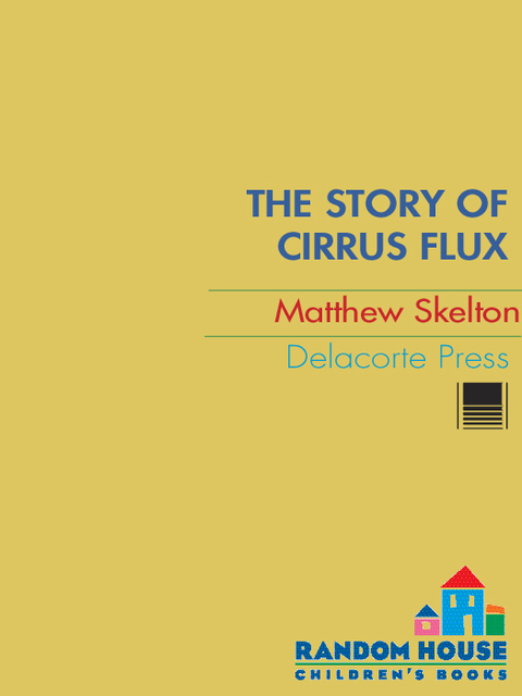 Cover image for book The Story of Cirrus Flux