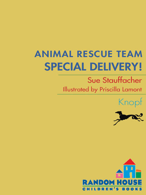 Cover image for book Animal Rescue Team: Special Delivery!