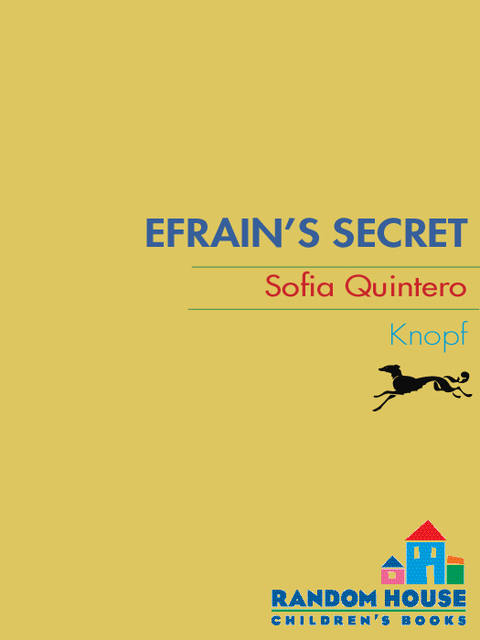 Cover image for book Efrain's Secret