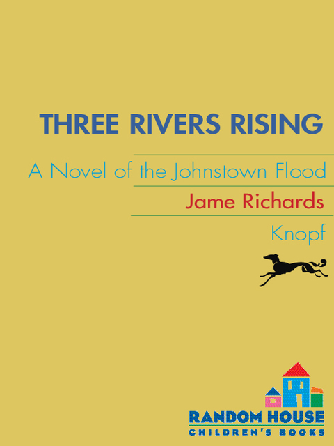 Cover image for book Three Rivers Rising