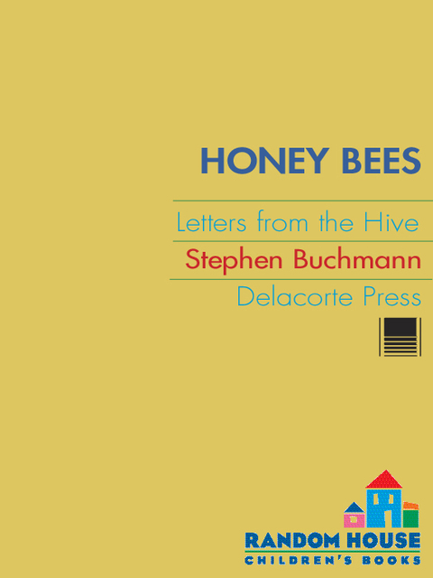 Cover image for book Honey Bees