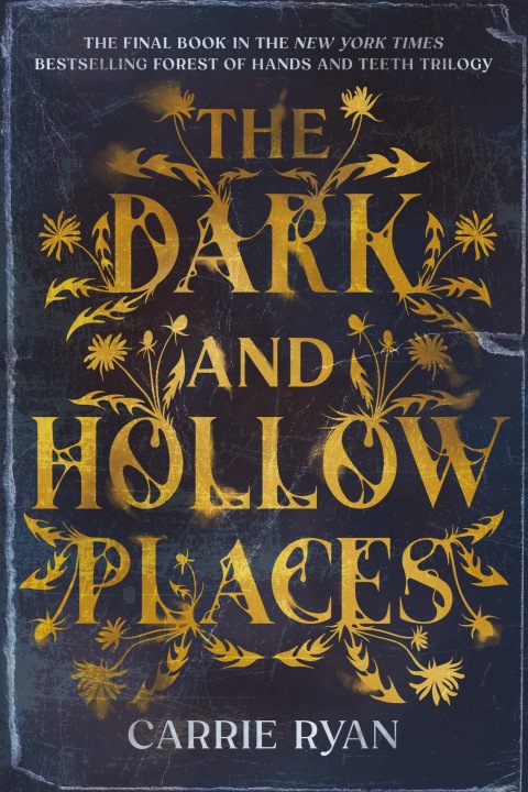 Cover image for book The Dark and Hollow Places