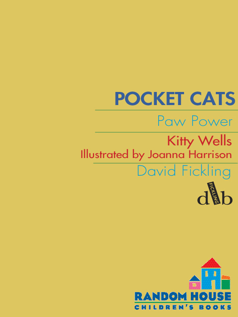 Cover image for book Pocket Cats: Paw Power