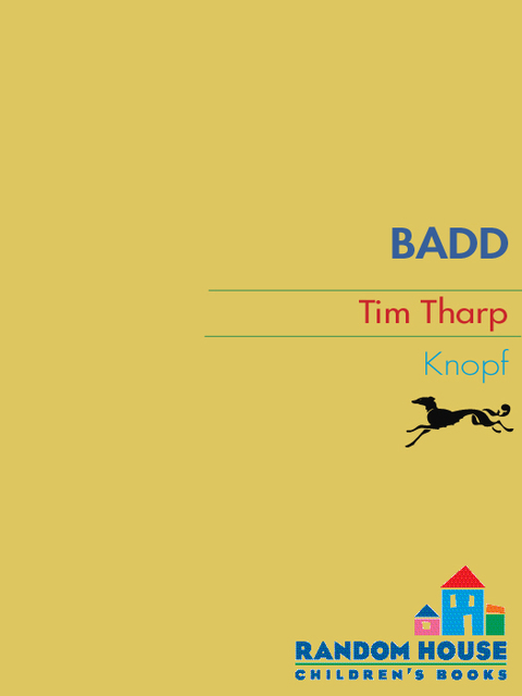 Cover image for book Badd