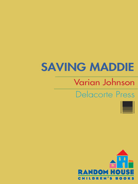 Cover image for book Saving Maddie