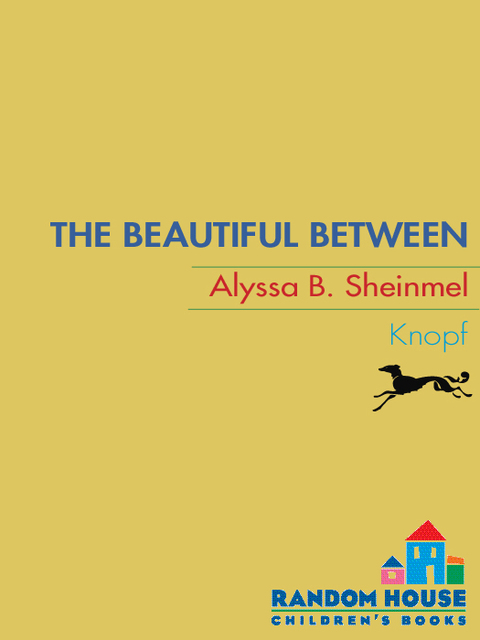Cover image for book The Beautiful Between