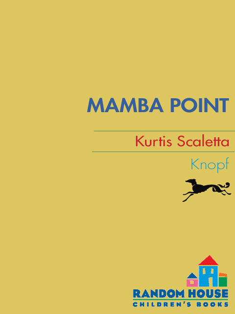 Cover image for book Mamba Point
