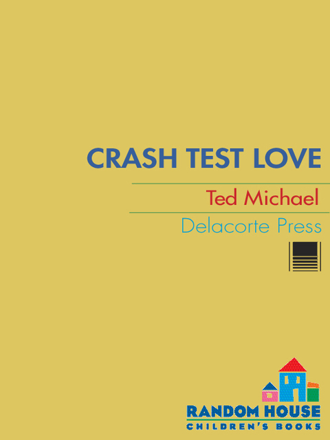 Cover image for book Crash Test Love