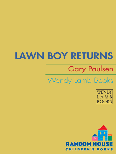 Cover image for book Lawn Boy Returns