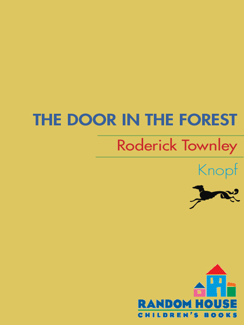Cover image for book The Door in the Forest