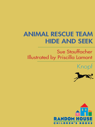 Animal Rescue Team: Hide and Seek