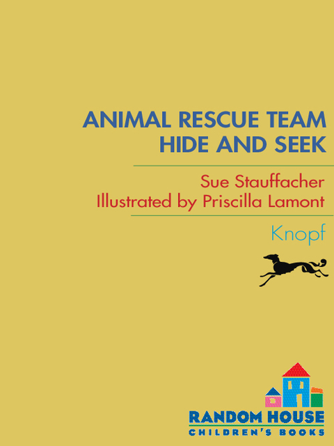 Cover image for book Animal Rescue Team: Hide and Seek
