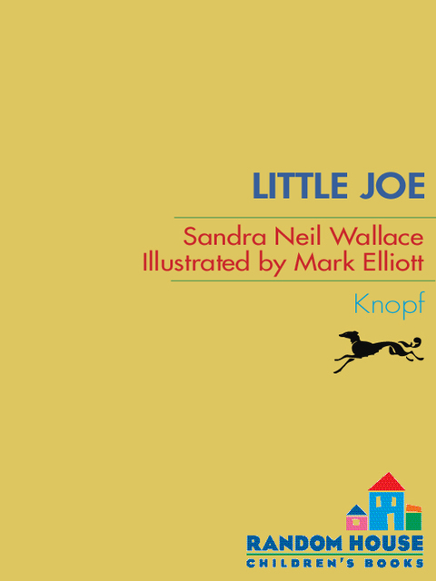 Cover image for book Little Joe