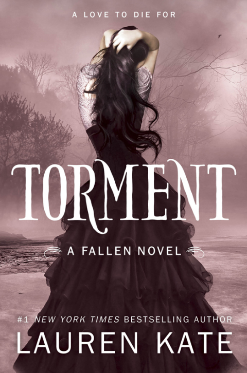 Cover image for book Torment