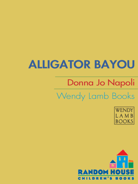 Cover image for book Alligator Bayou