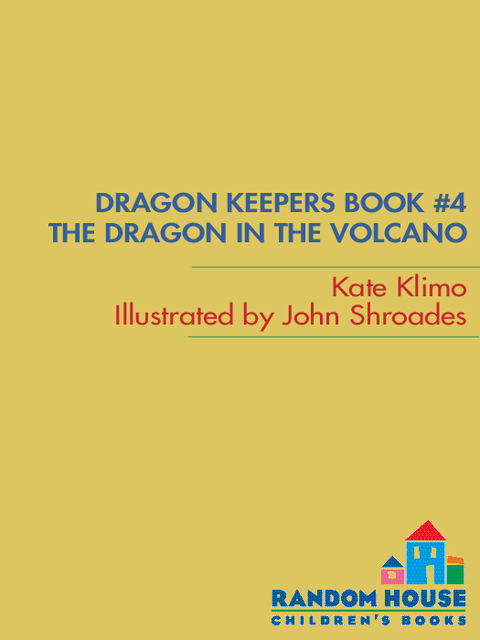Cover image for book Dragon Keepers #4: The Dragon in the Volcano