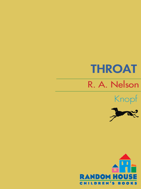 Cover image for book Throat