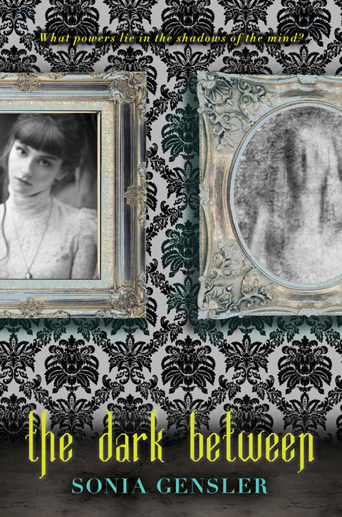 Cover image for book The Dark Between