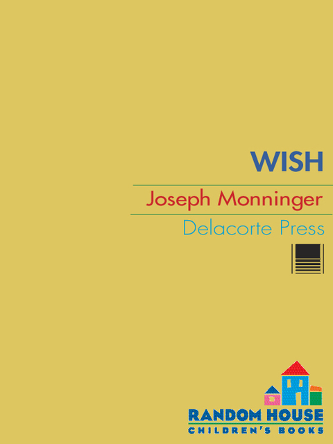 Cover image for book Wish