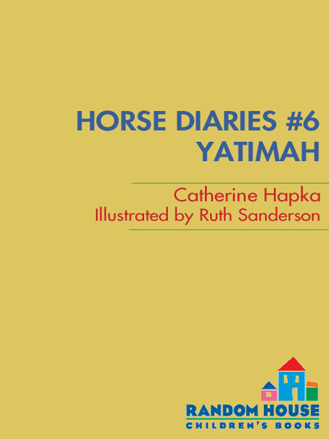 Cover image for book Horse Diaries #6: Yatimah