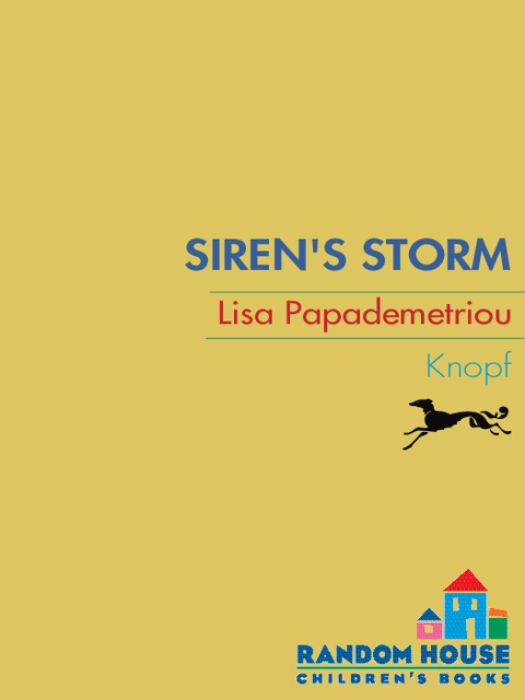 Cover image for book Siren's Storm