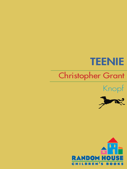 Cover image for book Teenie