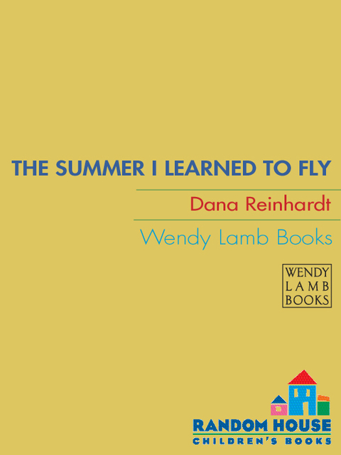Cover image for book The Summer I Learned to Fly