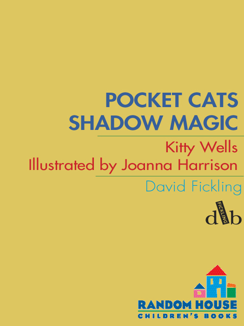 Cover image for book Pocket Cats: Shadow Magic