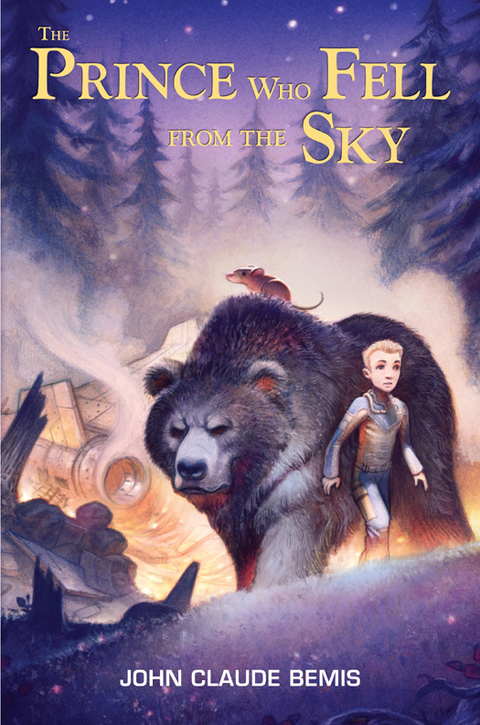 Cover image for book The Prince Who Fell from the Sky