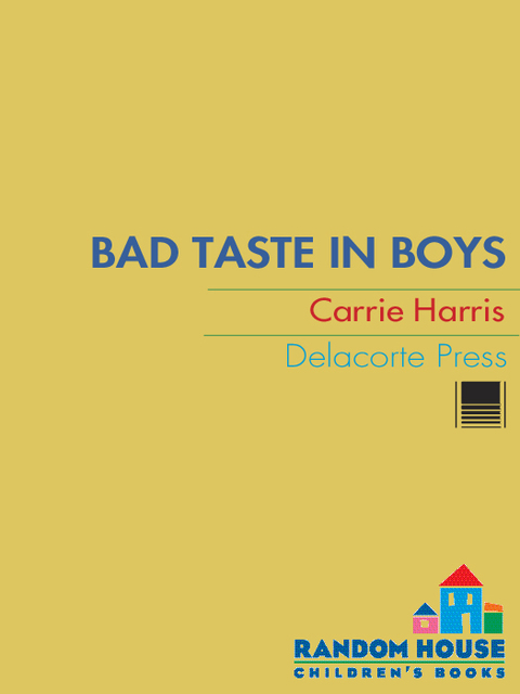 Cover image for book Bad Taste in Boys